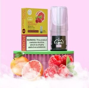 【LANA煙彈】LANA電子煙冰泉水口味 台灣現貨當天出貨 711到付 正品保證